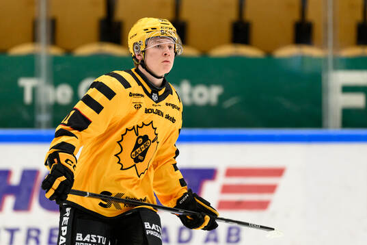 Skellefteås Theo Landström