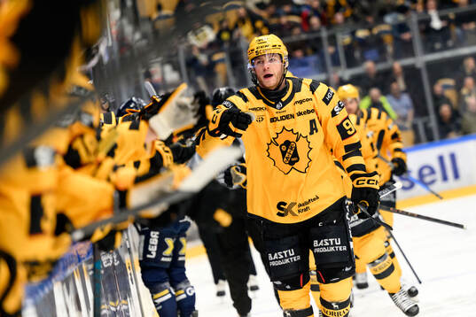 Skellefteås Rickard Hugg jublar