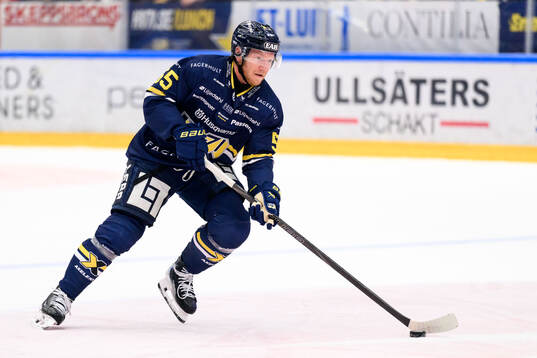 HV71s Andreas Borgman