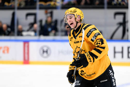 Skellefteås Pontus Johansson