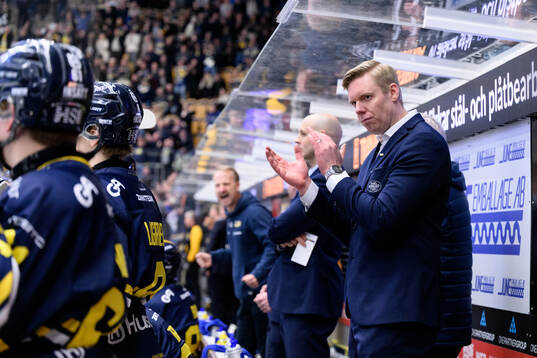 HV71s tränare Anton Blomqvist jublar