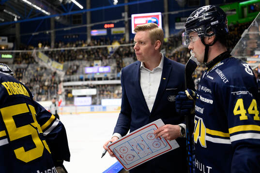 HV71s tränare Anton Blomqvist