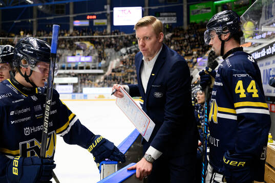 HV71s tränare Anton Blomqvist