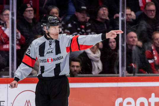 Domare Tobias Björk
