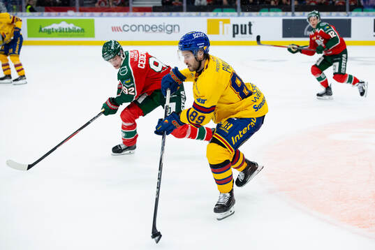 Djurgårdens Oula Palve