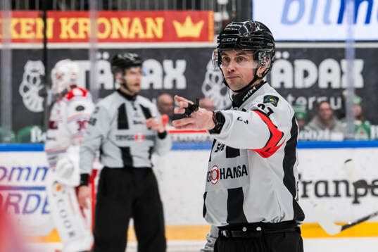 Domare Johan Wedin