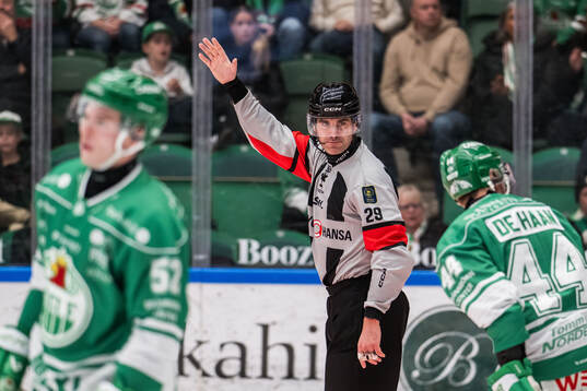 Domare Richard Magnusson