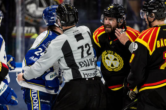 Brynäs Luke Witkowski