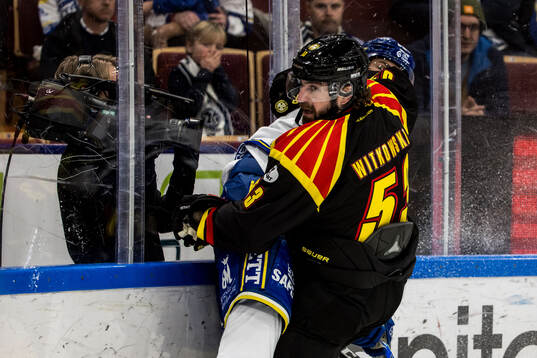 Brynäs Luke Witkowski