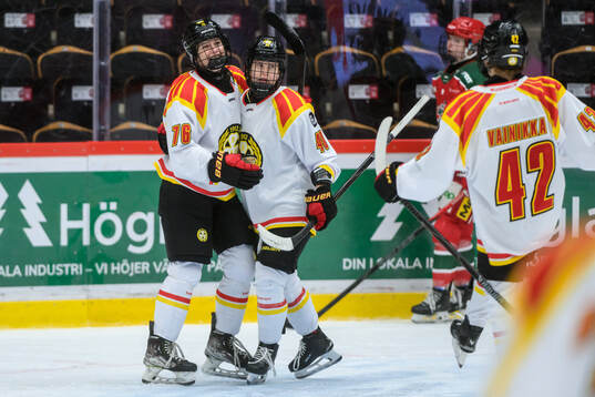 Bläddra bland fler bilder av Ishockey, SDHL, Modo - Brynäs