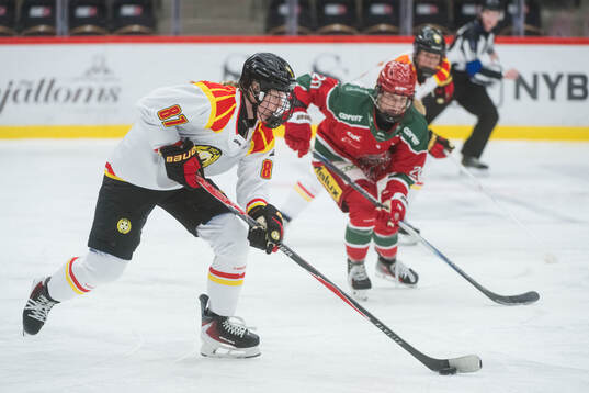 Brynäs Anna Brenkle