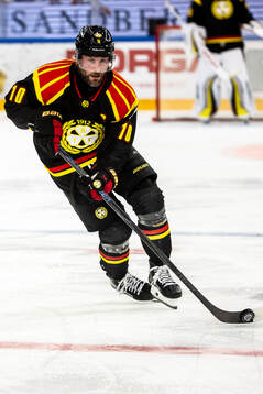 Brynäs Johan Larsson
