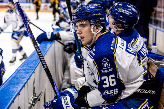 Leksands Stefan Milosevic deppar