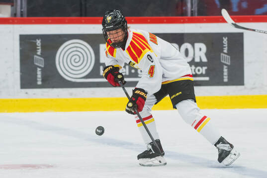 Brynäs Anna Andersson