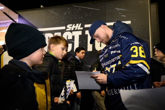 HV71s Olle Alsing
