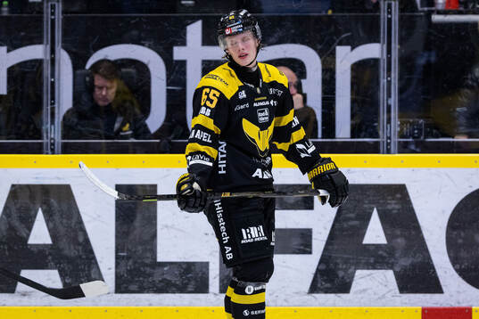 Västerås Karl Annborn  deppar