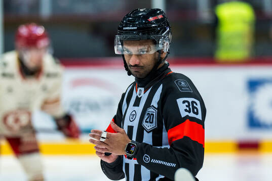 Domare Fredrik Rönnberg