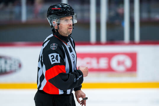 Domare Johan Magnusson