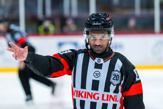 Domare Fredrik Rönnberg