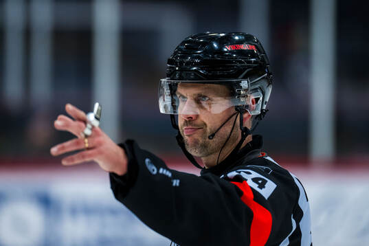 Domare Johan Magnusson