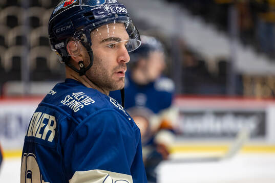 Växjös Reid Gardiner