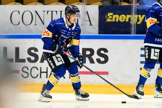 HV71s Eddie Levin