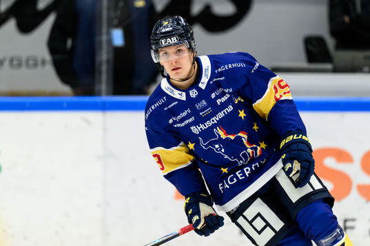 HV71s Eddie Levin