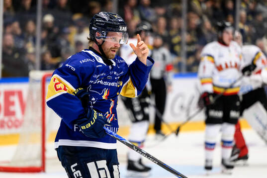 HV71s Mattias Tedenby