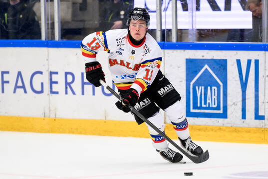 Malmö Redhawks Petter Vesterheim