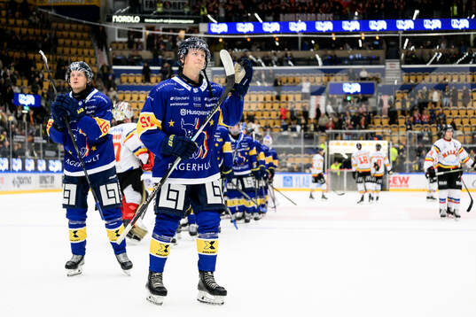 HV71s Aleksi Heponiemi deppar