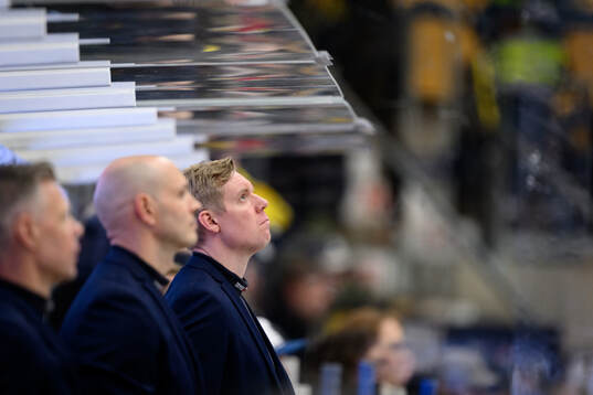 HV71s tränare Anton Blomqvist
