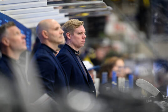 HV71s tränare Anton Blomqvist