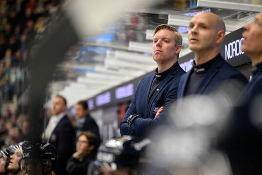HV71s tränare Anton Blomqvist