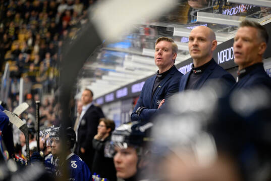 HV71s tränare Anton Blomqvist