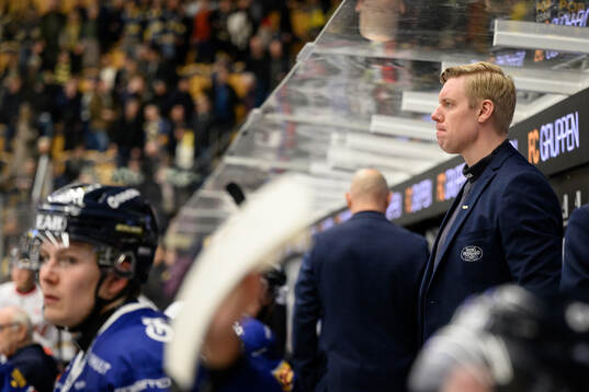 HV71s tränare Anton Blomqvist