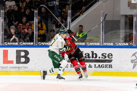 Luleås Brendan Shinnimin