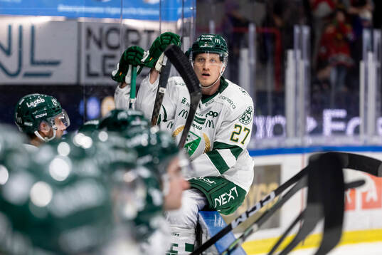 Färjestads Gabriel Carlsson deppar
