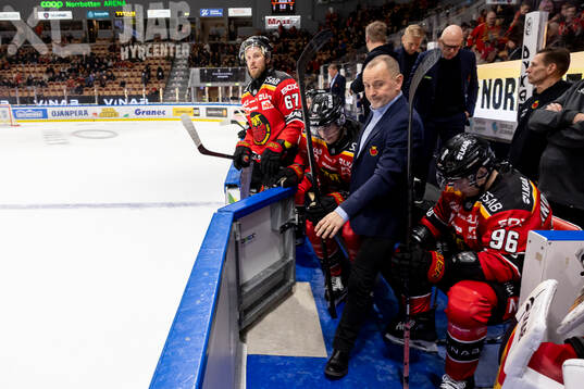 Luleås tränare Thomas Berglund deppar