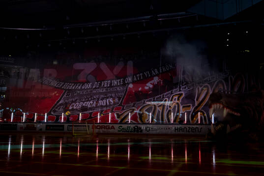 Luleåfans Corsica boys tifo innan ishockeymatchen i SHL