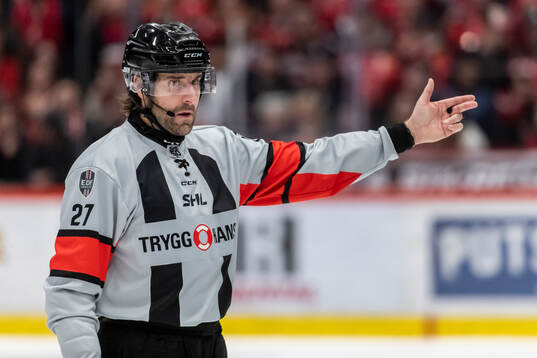 Domare Mikael Sjöqvist
