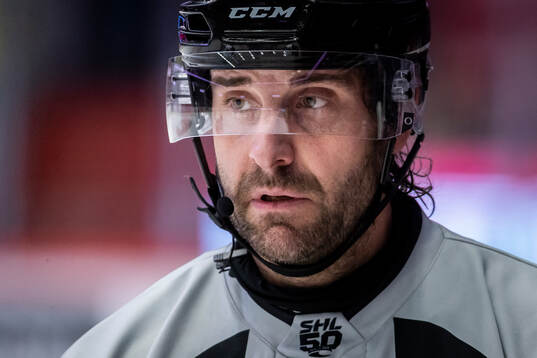 Domare Mikael Sjöqvist