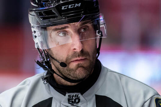 Domare Mikael Sjöqvist