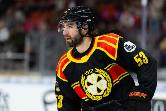 Brynäs Luke Witkowski