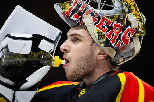 Brynäs målvakt Damian Clara