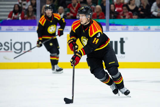 Brynäs Robert Hägg