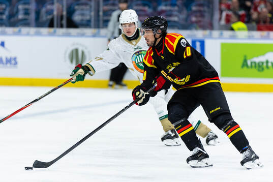 Brynäs Tyler Vesel