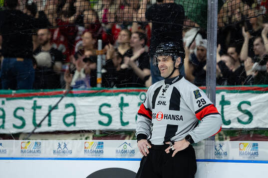 Domare Richard Magnusson