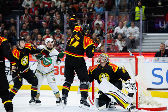 Brynäs Robert Hägg