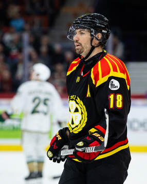 Brynäs Anton Rödin