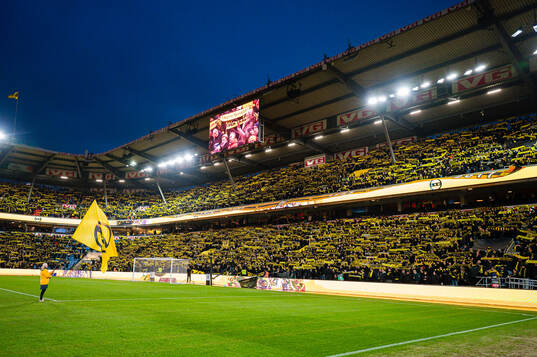 Spectators in the stands